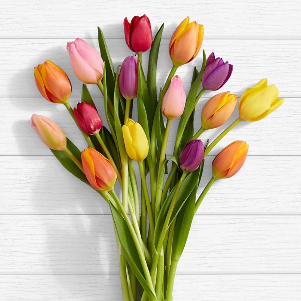 Meet your Posher, Betsy